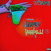 SsoSlime (feat. Yhapojj) - Single - 2slimey