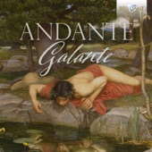 Andante Galante artwork