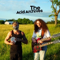 The Acid Archives (feat. TWIGG) - Single - Shad3z
