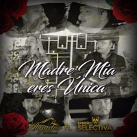 Madre Mia Eres Única (feat. Banda Selectiva de Angel Romero 