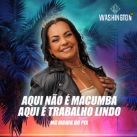 Aqui Não É Macumba, Aqui É Trabalho Lindo (feat. Mc Monik do pix) - Single - DJ Washington Zz
