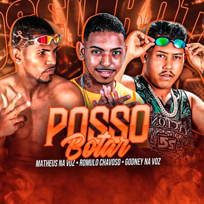Posso Botar - Single