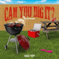 Can You Dig It? - Single - K. Wrigs