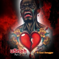 uSneh, Pt. 3 (feat. Cool Swagger) - Single - Abangani Bethu