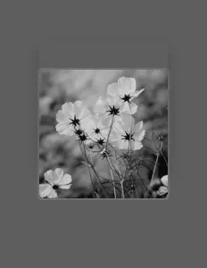 Ascolta Eleven SQD, guarda video musicali, leggi la biografia, vedi le date del tour & altro!