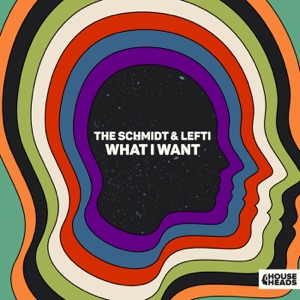 What I Want (Extended Mix) - Single