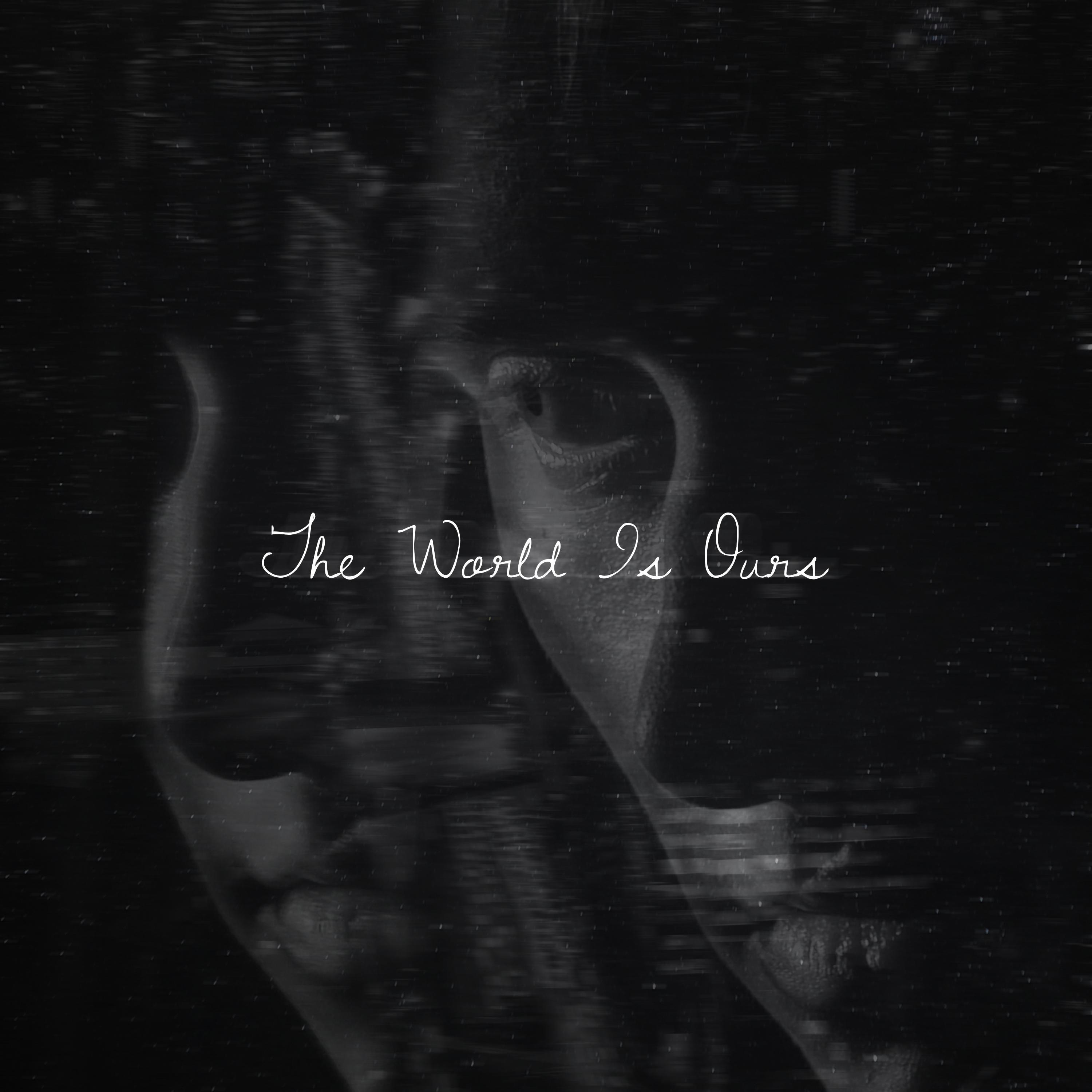 The World Is Ours - Single