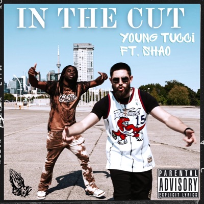 In The Cut - Single