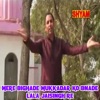 Mere Bighade Mukkadar Ko Bnade Lala Jaisingh Re - Single