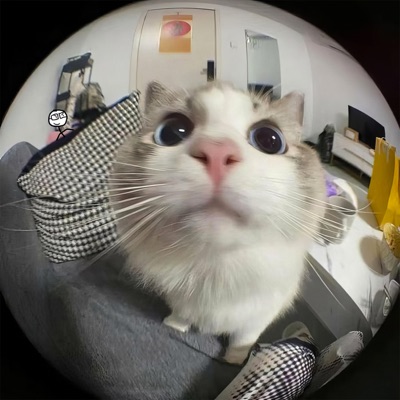 lunar, Pt. 2 - Single