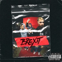 Brexit - Single - Flashy Ice Cream & P.A.W.N. Gang