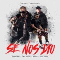 Se Nos Dió - Single - Darell, Myke Towers, The Secret Panda, JHAYCO & Ñengo Flow