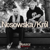 Błyszcz artwork