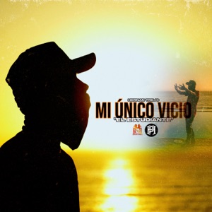 Mi Único Vicio