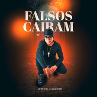 Falsos Caíram - Single - MC DD DO 70 & Dj Matheus 300