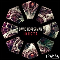 Inecta - Single - David Hopperman