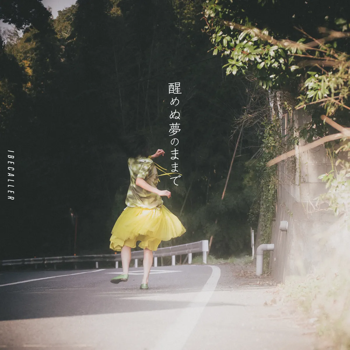 アイビーカラー - 醒めぬ夢のままで (2024) [iTunes Plus AAC M4A]-新房子