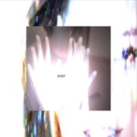 salvia - Single - popr