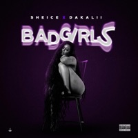 bad girls (feat. Sheice) - Single - Dakalii Producer