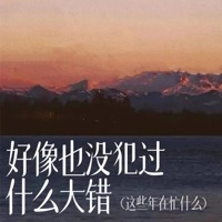 好像也没犯过什么大错 (这些年在忙什么) - Single - 齐秋冉