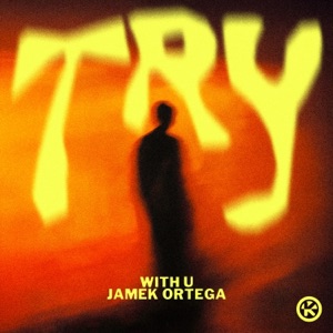 Try (Extended Mix)