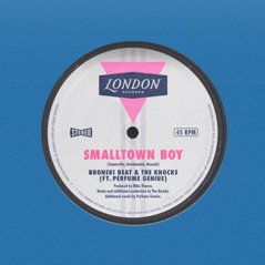 Smalltown Boy (feat. Perfume Genius) - Single
