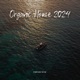 Organic House 03