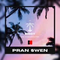 PRAN SWEN (feat. Biggy) - Single - Ion Kid Seychelles