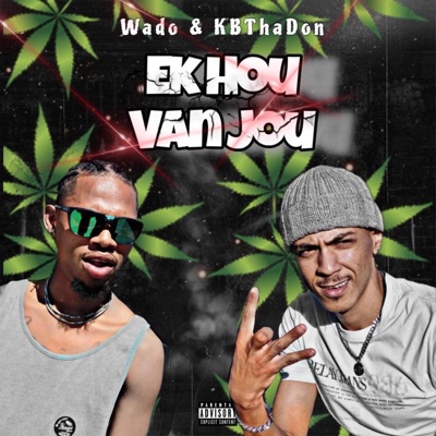 Ek Hou Van Jou (feat. Wado) - Single