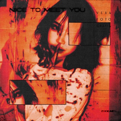 Nice To Meet Ya - Single