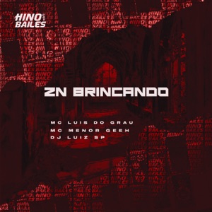 Zn Brincando
