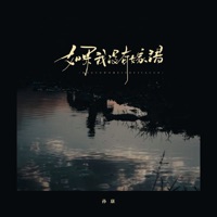 如果我没有嫁错 - Single - 孙康