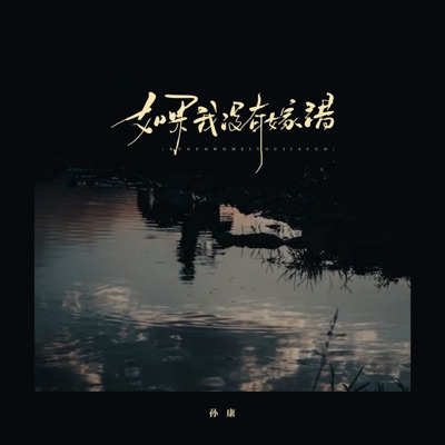 如果我没有嫁错 - Single