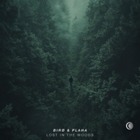 Lost in the Woods - Single - birø & Plaha
