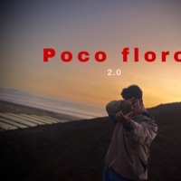 Poco floro - Single - B Jay