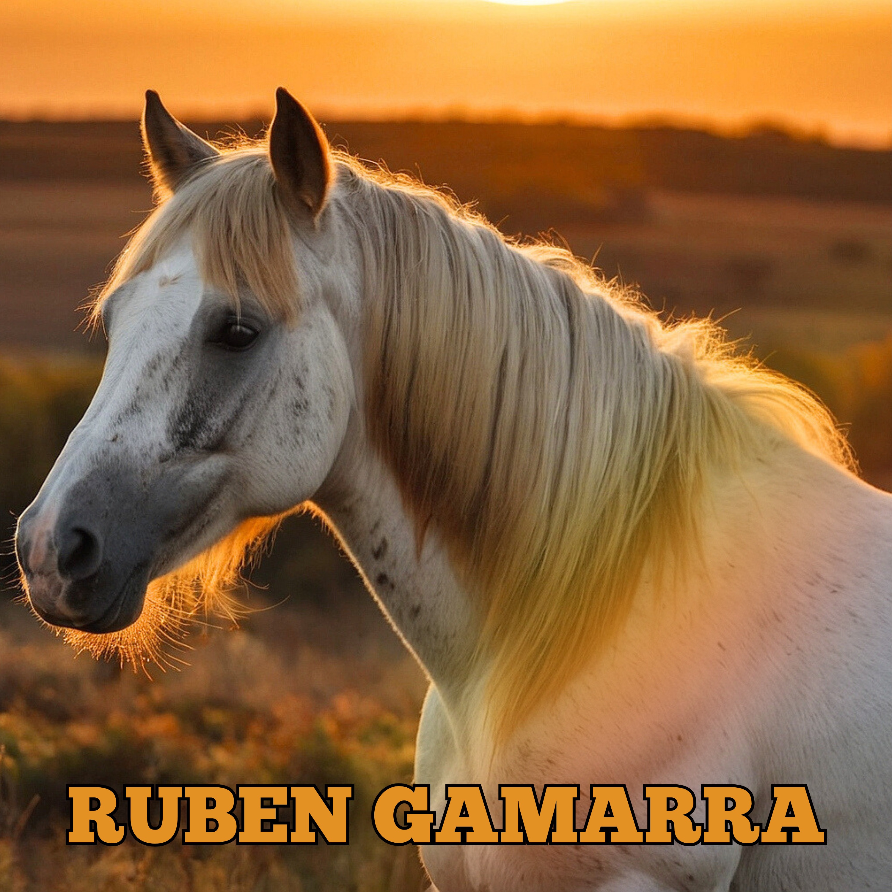 Un Recorrido a Monagas - Single