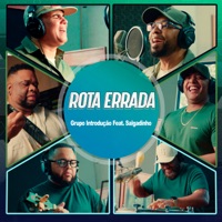 Rota Errada (feat. Salgadinho) - Single - Grupo Introdução