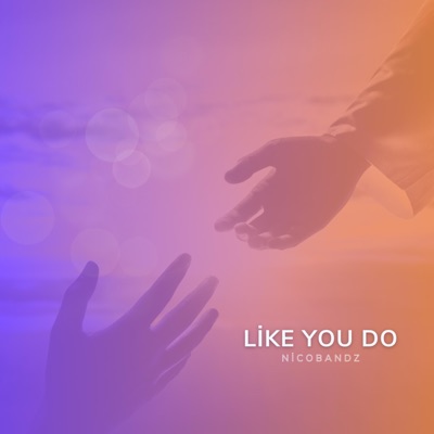 Like You Do - Single