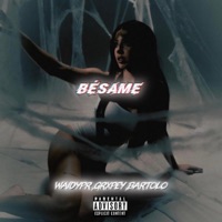 BESAME (feat. Grxpey & Bartolo) - Single - Waidypr