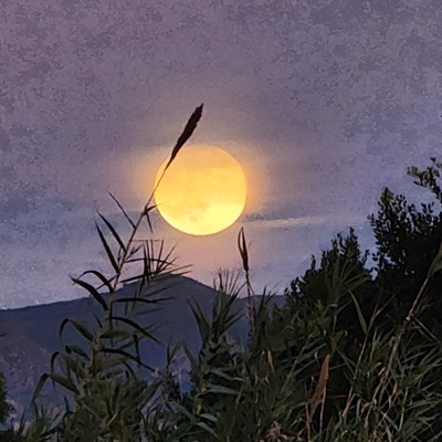 Before Sunrise - Single