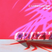 Crazy (feat. Eljé) artwork