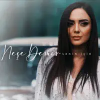 SENIN ICIN — NESE DEMIR