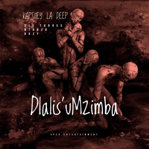 Dlalisa uMzimba