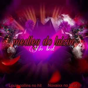 Medley do Luizin