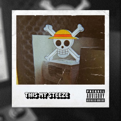 This My Steeze - Single