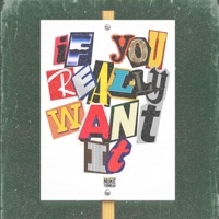 If You Really Want It - Single - Nuke Franklin