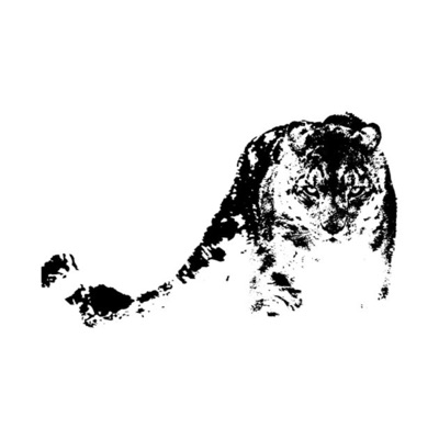 Say it (feat. yuungsaint) - Single