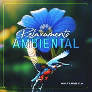 Relaxamento Ambiental