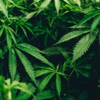 Once Again - Single - Lacrafari