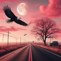 xPaProject, Vol. 3 - Zyzsupertramp